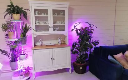 Гостиная Ари-Прованс