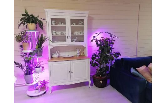 Гостиная Ари-Прованс